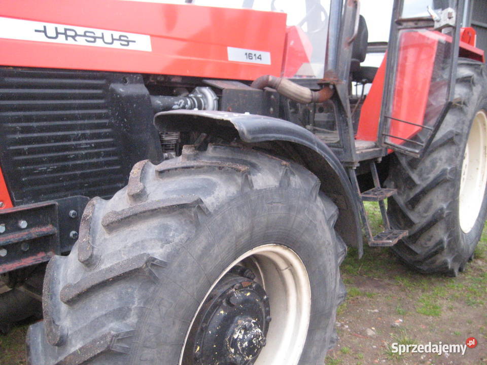 Ciągnik Ursus 1640 Turbo Zetor 8441 PROXIMA Ursus Śmigiel