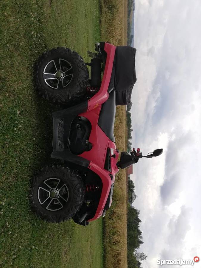 Masai a433 podkarpackie Dobrzechów