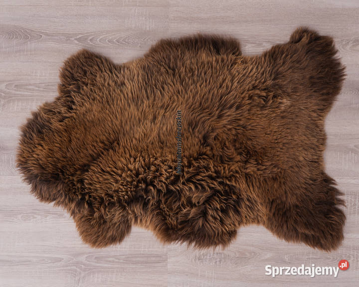 Skóra OwczaSkóry Owcze Brązowe XXXL Naturalne Zakopane