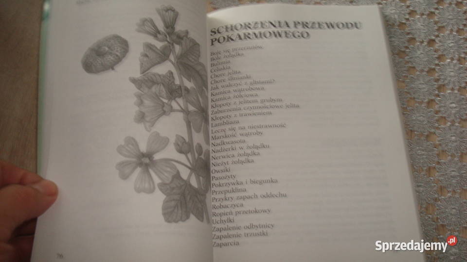 Apteka natury Górnicka k Zaczernie sprzedam