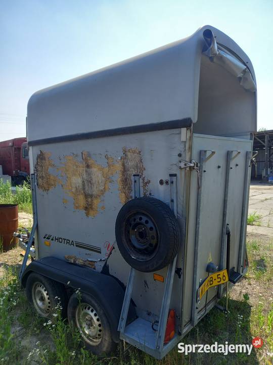 Przyczepa konna koni 15 konia HOTRA 1300dmc Biskupice