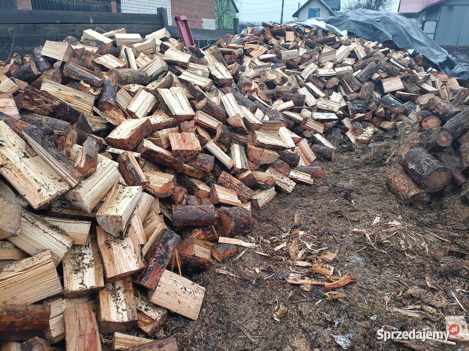 Drewno sosna brziza Modliborzyce