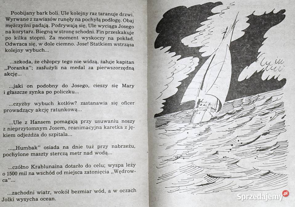 Wyspa Wiecznego Żeglarza Zbigniew Kosiorowski Chełm