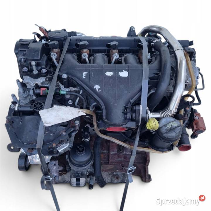 SILNIK KOMPLET Ford S S 20 TDCI 140 QXWA QXWB sprzedam