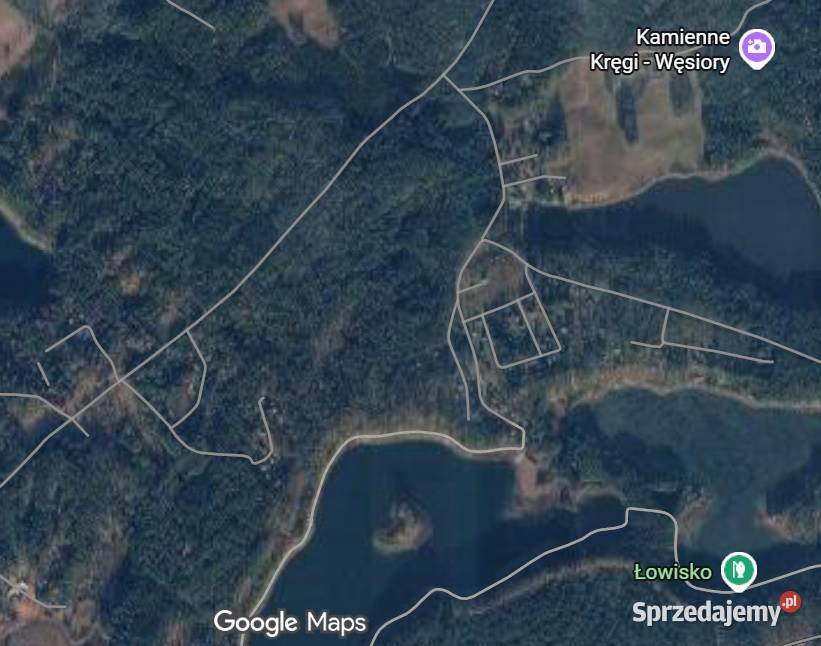 Kompleks leśny 58 ha Sosna 75 lat Gmina 57967m2 Pruszcz Gdański