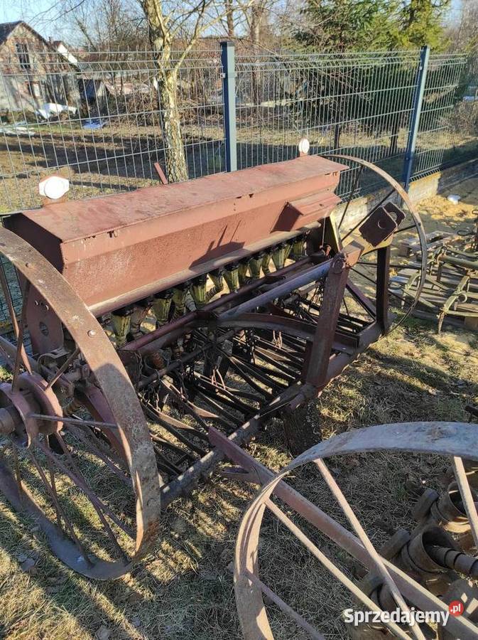 Sprzedam siewniki Wielkie Oczy sprzedam