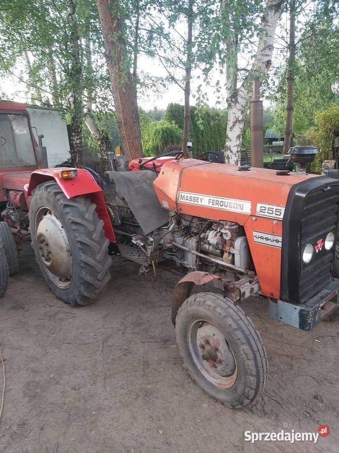 Massey ferguson 255 nie ursus Jawiszowice