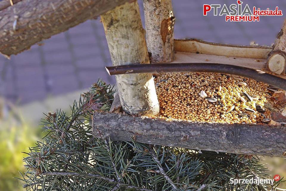 Karma ptaków 10 PREMIUM nasiona oleiste Cieśle