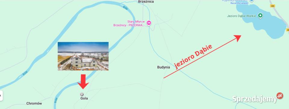 Unikatowy dom w Dąbiu woj lubuskie lubuskie Dąbie sprzedam