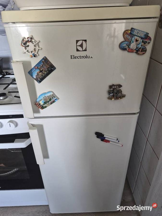 Lodówka z zamrażalnikiem Electrolux EJ1800AOW Toruń sprzedam