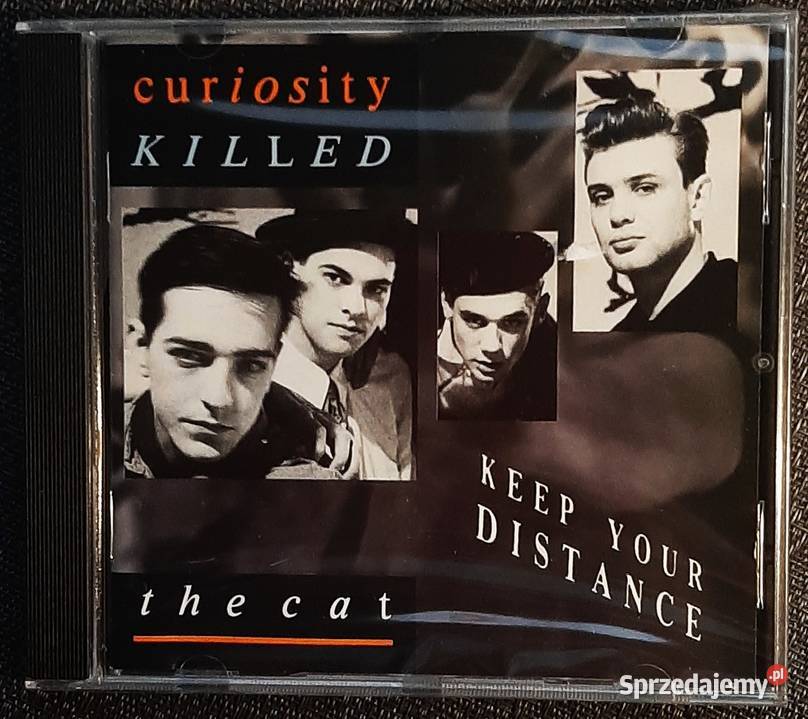 Album CD CRASH Test DUMMES Album God Shuffled śląskie Katowice sprzedam
