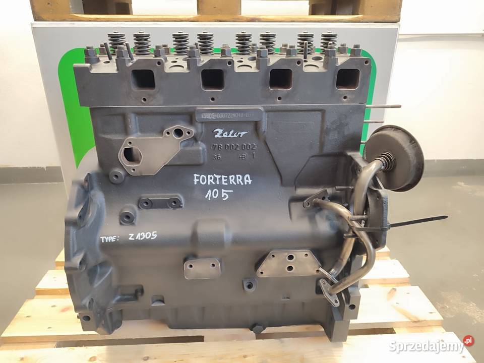 Silnik Z1305 Zetor Forterra 105 Z1305 Pozostałe Wilkowo