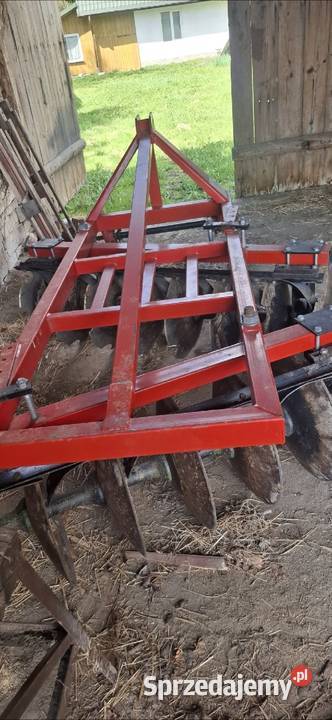 Talerzówka strumyk Krzywe