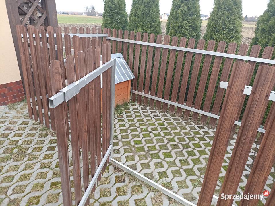 Kojec psa z budą sprzedam