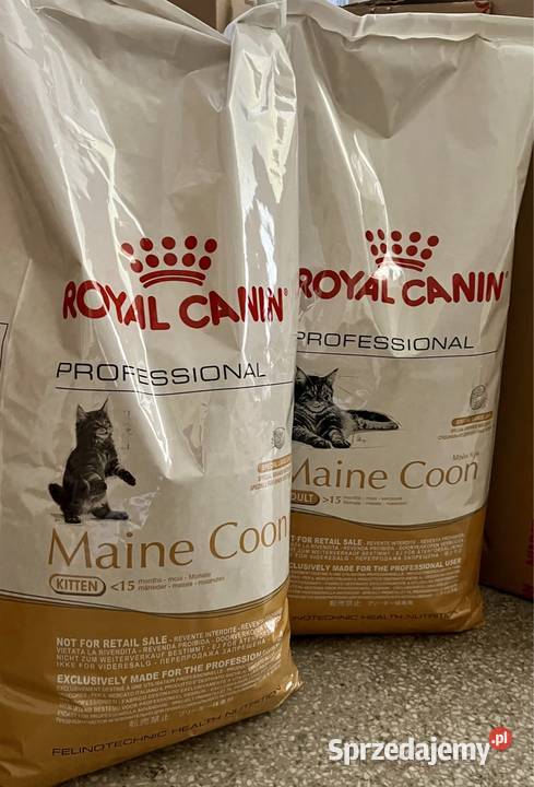 Każda RC Brit Maine Coon 15 Worek Kitten Adult Warszawa