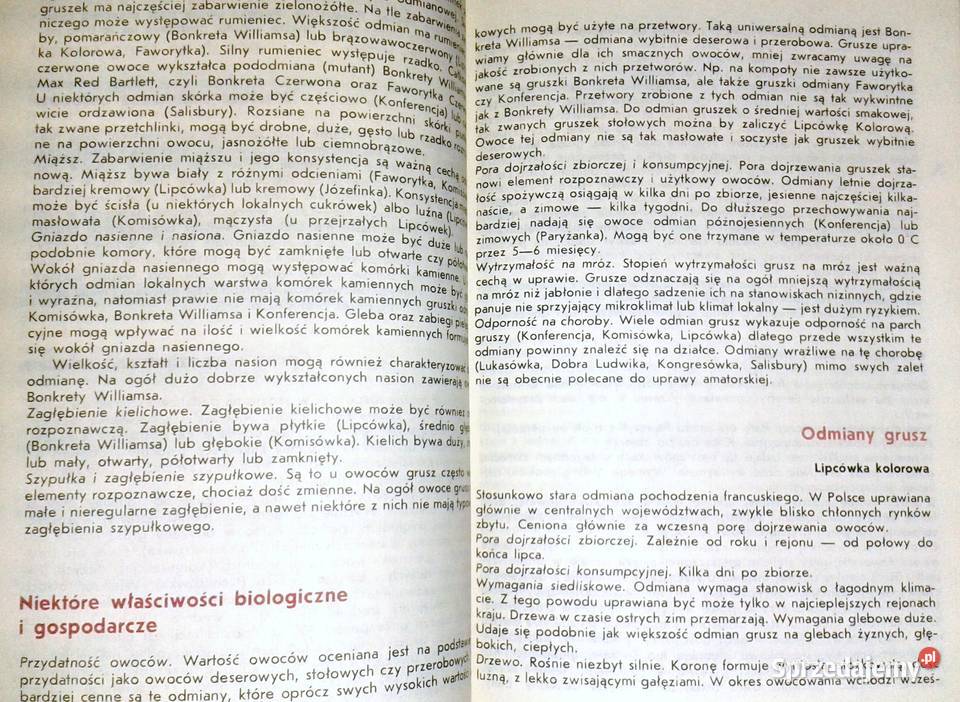 Owoce z mojej działki Tomasz Rejman Chełm