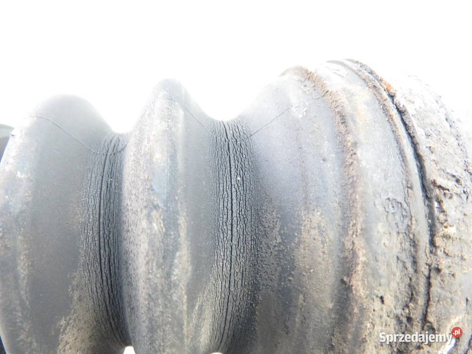 PÓŁOŚ LEWA TYLNA RENAULT KANGOO I 19 dCi