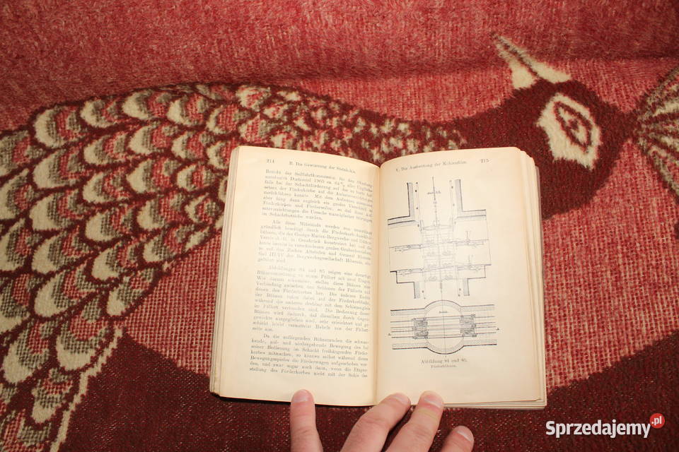 Die Steinkohle A Haenig 1907 Chorzów