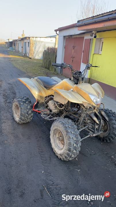 Bashan 200 ciecz zamiana Rąbino