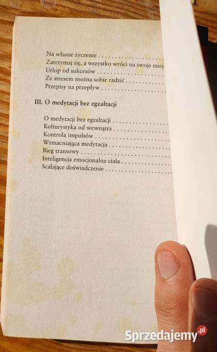 Sukces Emocjonalny Jacek Santorski życie codzienne, obyczaje Sosnowiec