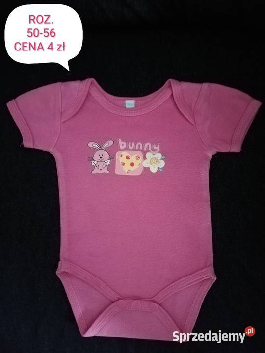 Body 5056 z krótkim rękawem zajączek królik Katowice