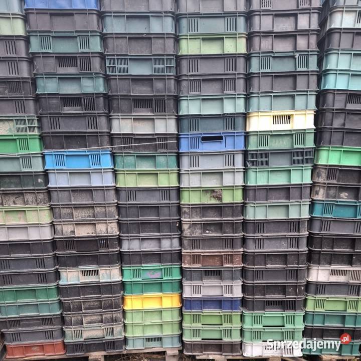 Skrzynki Czeszki lubelskie Kraśnik