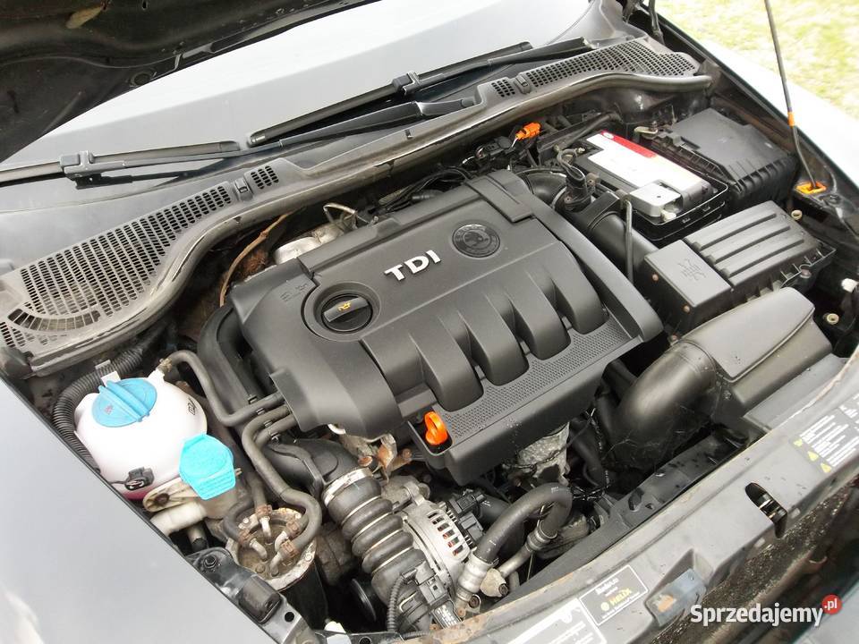 Skoda Octavia 19 TDI 105 Iława sprzedam
