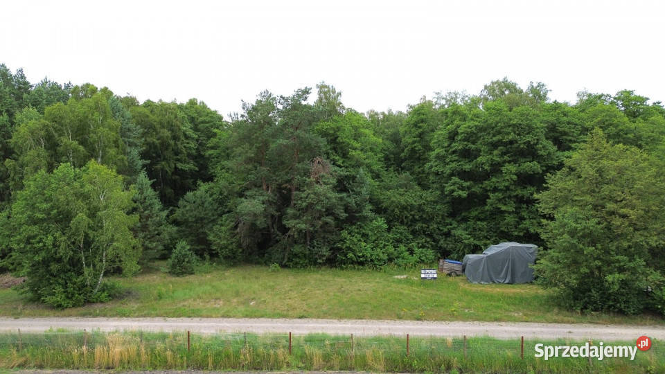 Do sprzedaży grunt 6000m2 Wola Uhruska 66m Sprzedaż