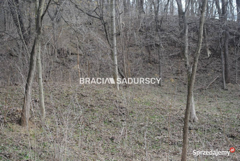 sprzedaży gruntu Malkowice 4800m2 4800m2 małopolskie