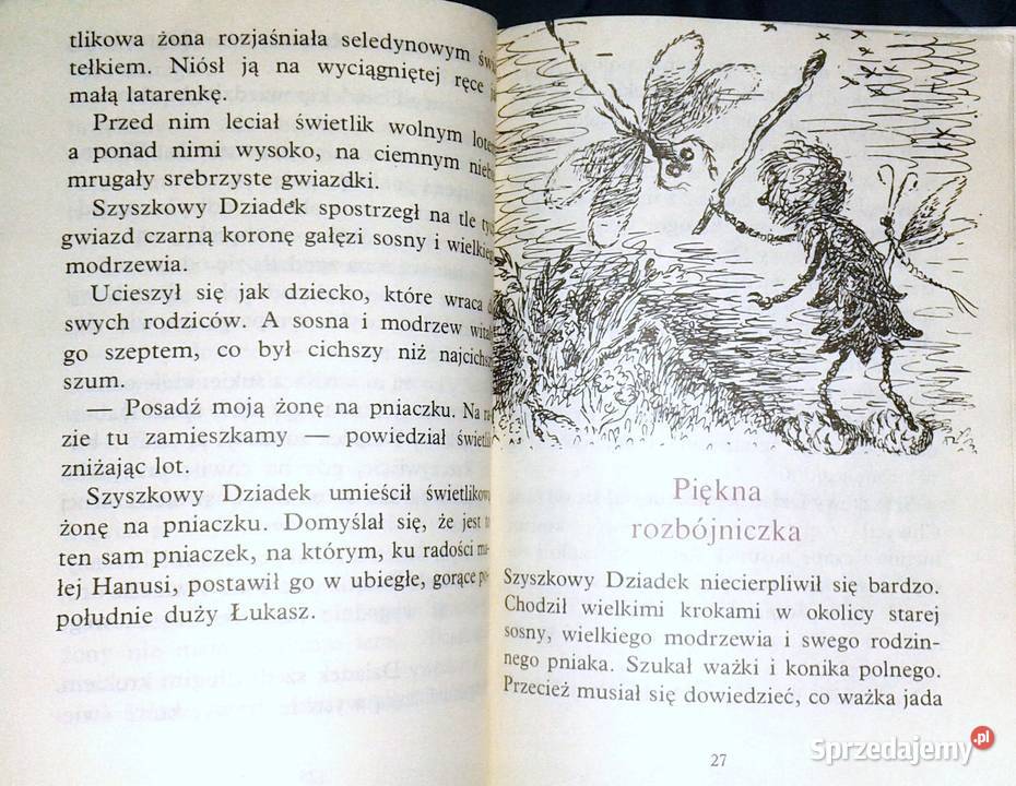 Wędrówki Szyszkowego Dziadka Maria Kędziorzyna lubelskie Chełm