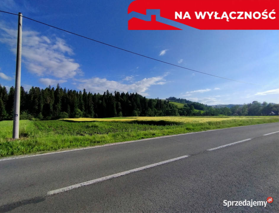 Działka strumyku Łapsze Niżne