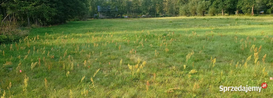 Działki budowlane Czubajowizna k Wołomina