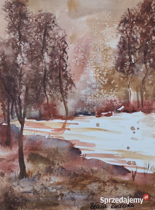 Akwarela Akwarelka Obraz pt Leśny Szmer opolskie Opole