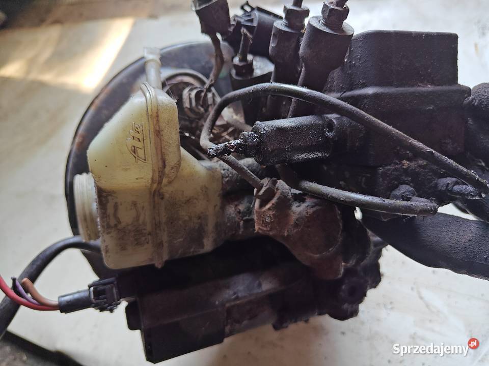 Serwo golf 3 Łagów