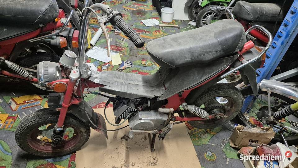 Motorynka stella zarejestrowana Hryniewicze