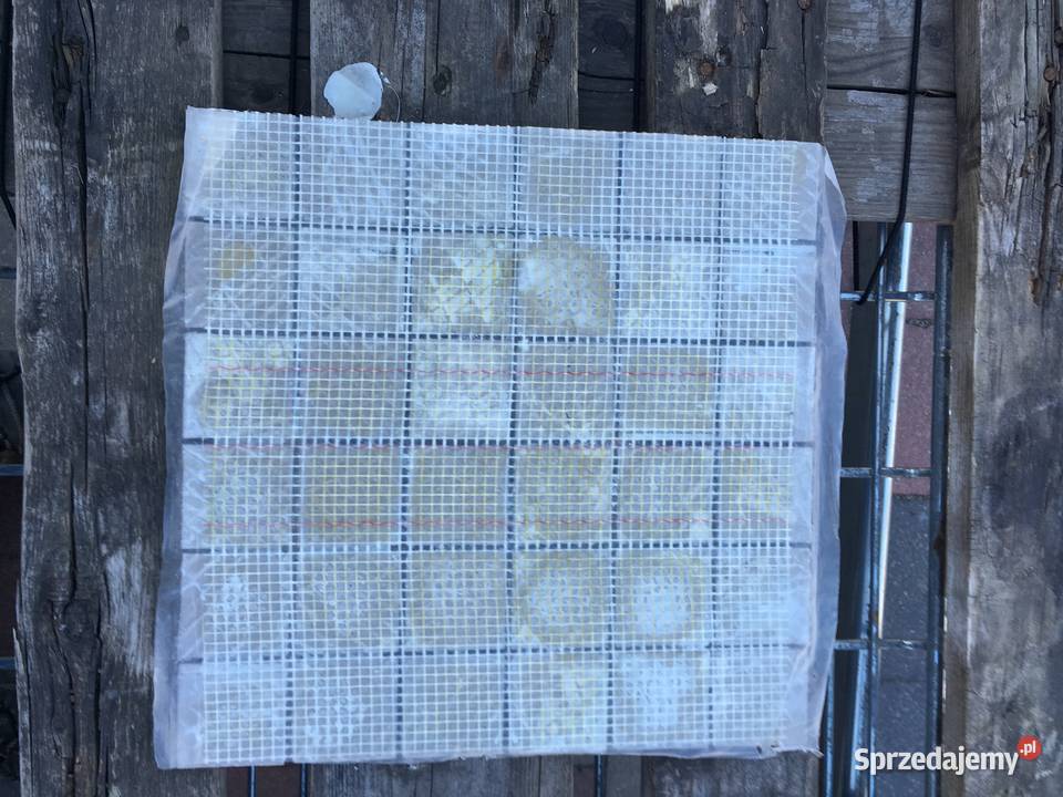 Mozaika gres 33x33 firmy CISA jurass mos 5x5 l mazowieckie Reguły sprzedam
