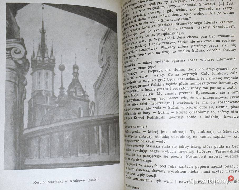 Z rodu tytanów Władysław Bodnicki Chełm sprzedam