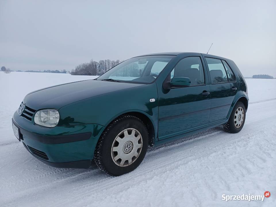 Volkswagen Golf 4 14 bg Samochody osobowe Babin