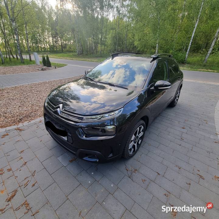 c4 cactus 12 Turbo Benzyna 131 Bogato wyposażony C4 Cactus Choszczno