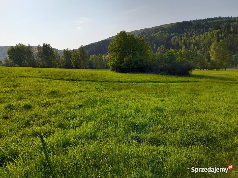 Działka rolna Rajcza Beskid Żywiecki widokowa rekreacyjna Nieruchomości