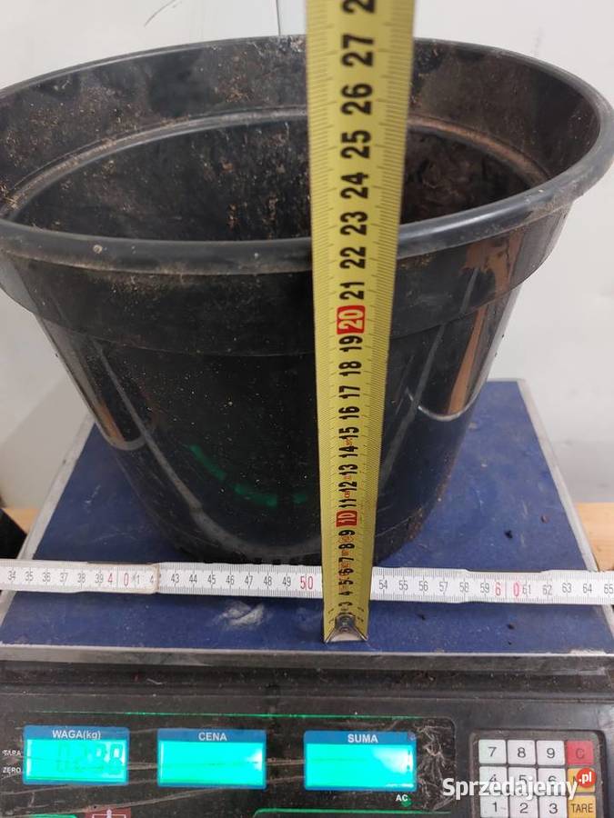 Doniczki produkcyjne szkółkarskie używane Skrzynki i opakowania