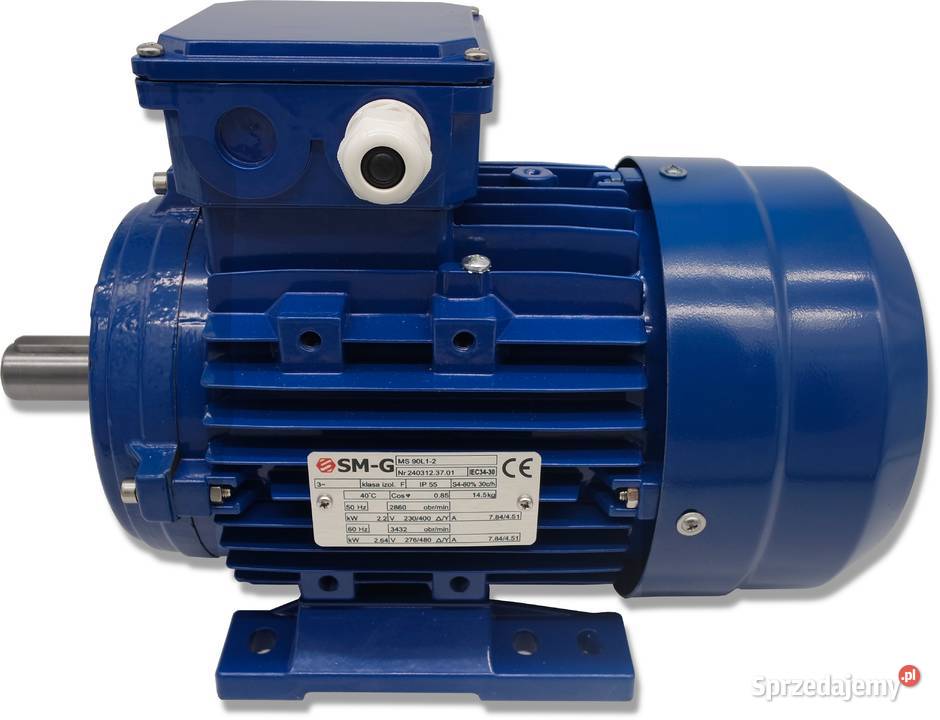 SILNIK ELEKTRYCZNY 22kW 230400V 2860obr 3FAZOWY Rolnictwo Solec Kujawski