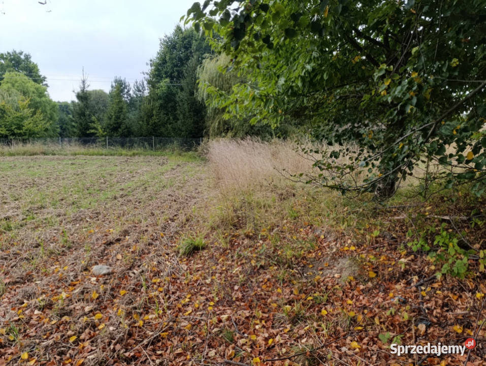 Działka zagrodowa 30ar Janczowice gm Łagiewniki dolnośląskie Jaźwina