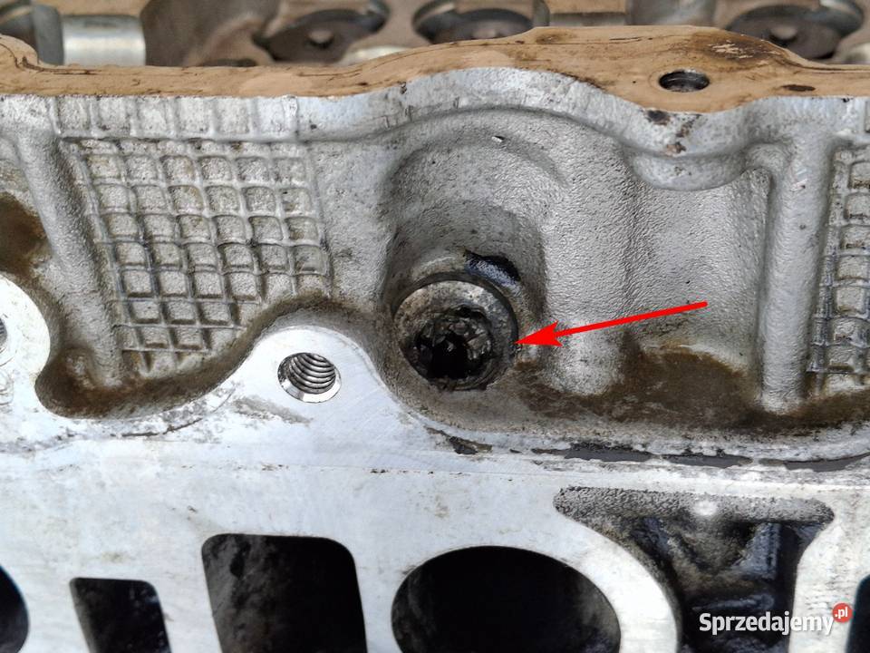 NISSAN RENAULT GŁOWICA 5X0 2L 20DCI 22DCI 25DCI lubuskie Bieleń sprzedam