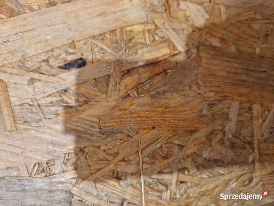 Naświetlacz LED 100W barwa biała ciepła 2700K Głogowa sprzedam