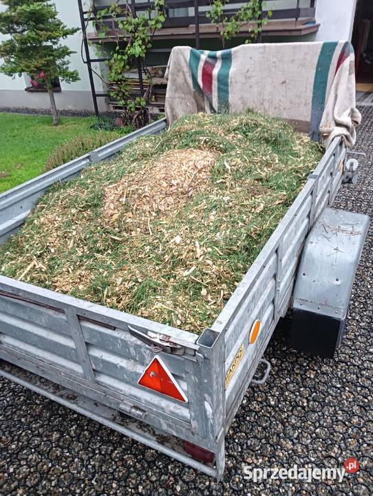 Zrębka z gałęzi drzew iglastych podsypka kompost