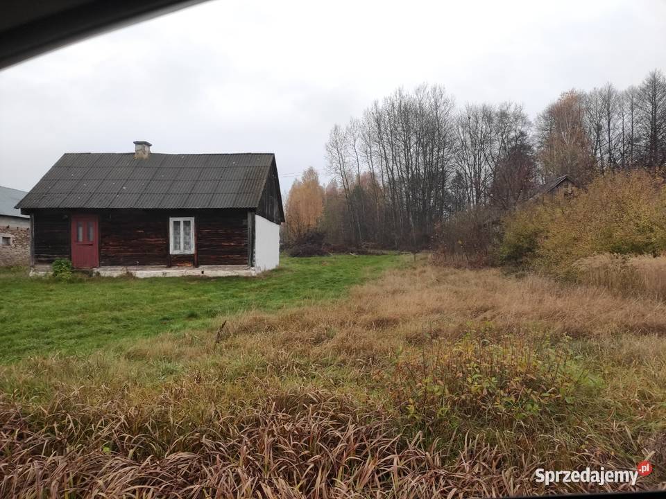 Działka rolna 392 ha Antoniów pow opoczyński woj Sprzedaż