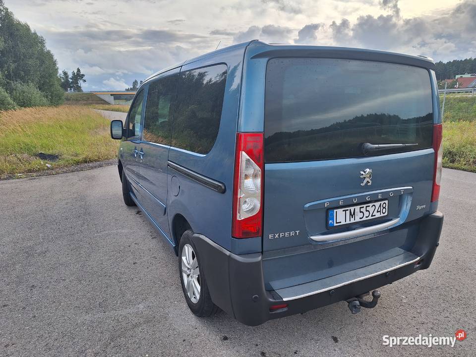 Peugeot Expert Tepee 20 HDI 2010 8 osobowy L1H1 lubelskie Tomaszów Lubelski sprzedam