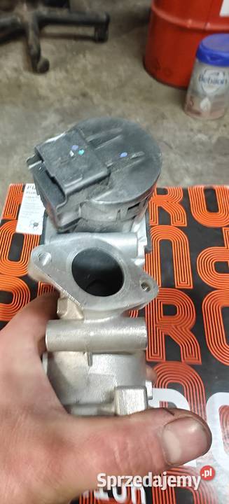 EGR eg10396 Ford Volvo citroen Świnice Warckie