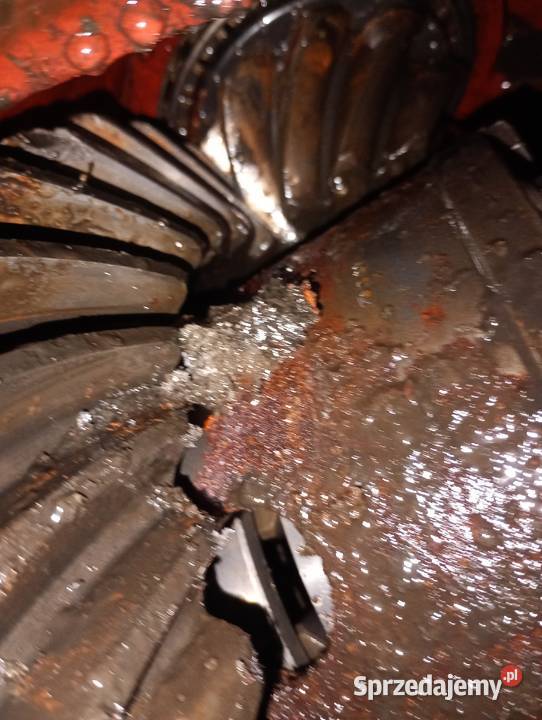 Dyfer dyferencjał wkład mostu ZF AP9HK 319 TEREX Turkowice